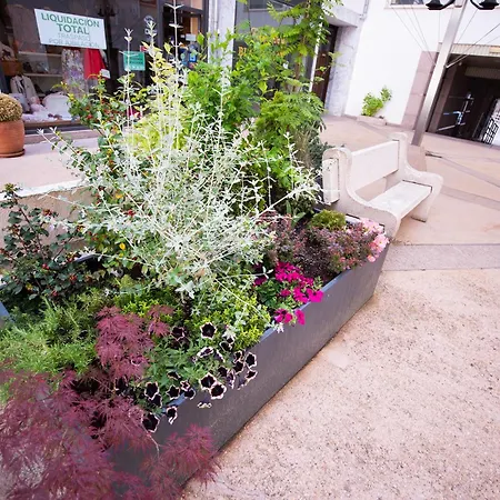 Apartment Apartacentro